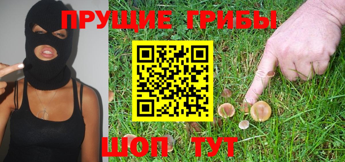 Псилоцибиновые грибы мухоморы Ирбит